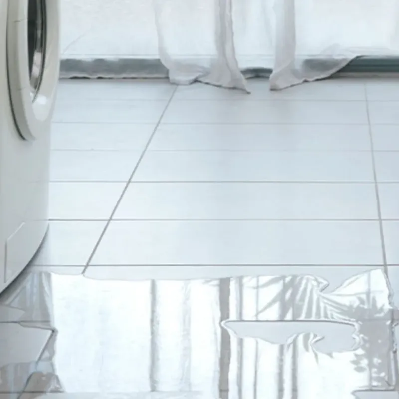 Appliance Leak Cleanup in Stuttgart, AR