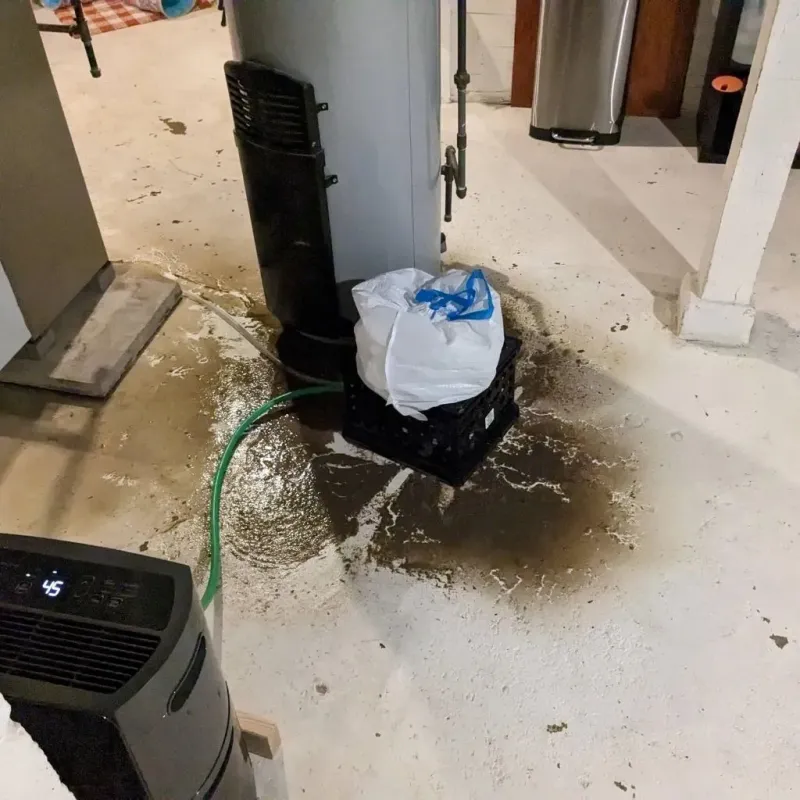 Sewage Backup Cleanup Service in Stuttgart, AR